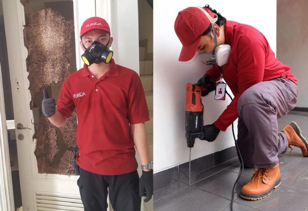 Waspada! Ini Dia Ciri Jasa anti rayap Abal-abal